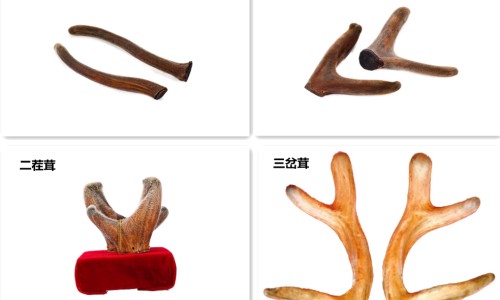 肾不好会导致脚后跟疼吗-肾不好会引发脚疼吗网 - 为你提供肾不好会引起脚疼吗、肾不好会导致脚后跟疼吗
