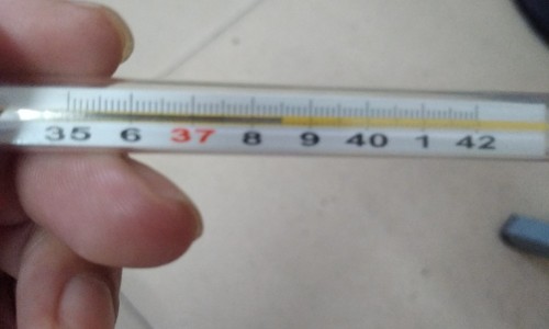 肾不好会引发脚疼吗怎么治疗-肾不好会引发脚疼吗网 - 为你提供肾不好会引起脚疼吗、肾不好会导致脚后跟疼吗